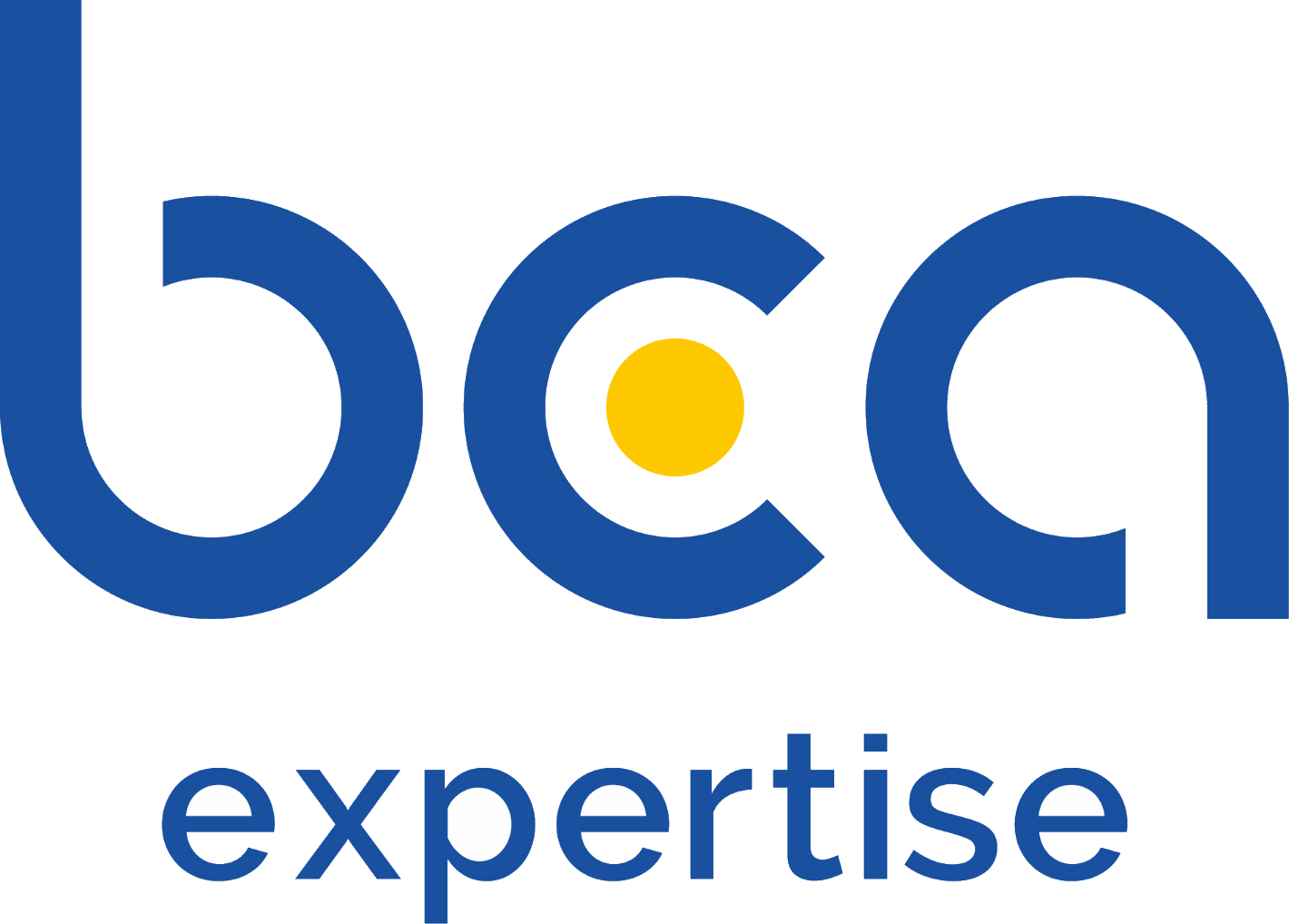 BCA Expertise logo